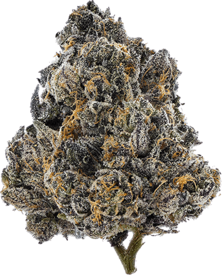 Gelato 33 image 1