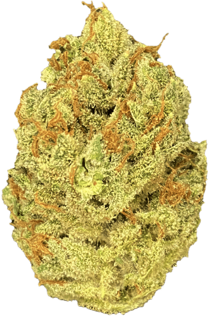 Chocolope
