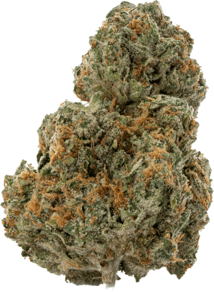 Boston Cream